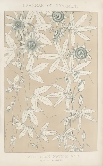 Leaves From Nature No 10 2