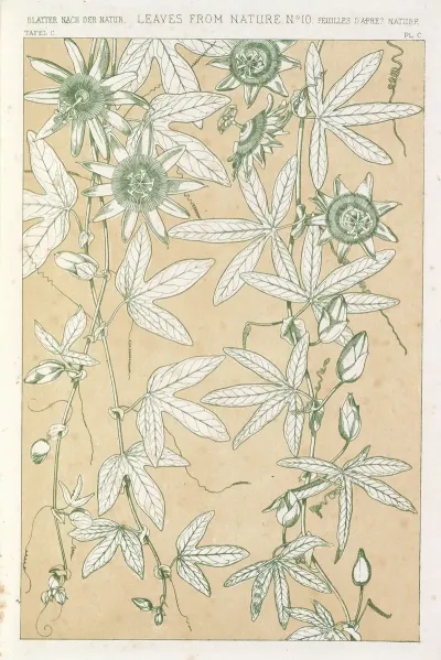 Leaves From Nature No 10