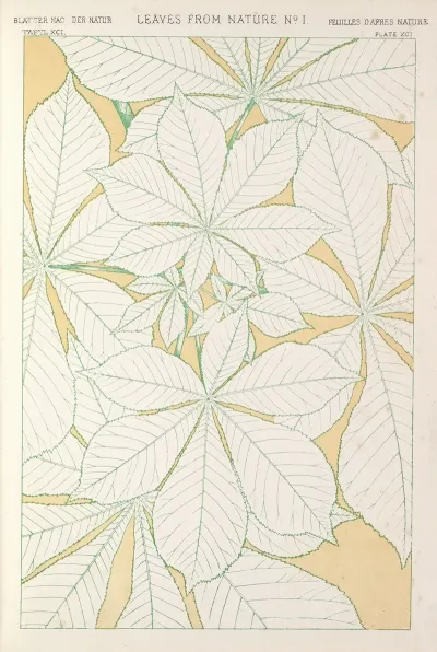 Leaves From Nature No 1