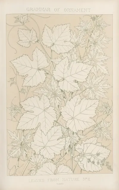 Leaves From Nature No 2 2