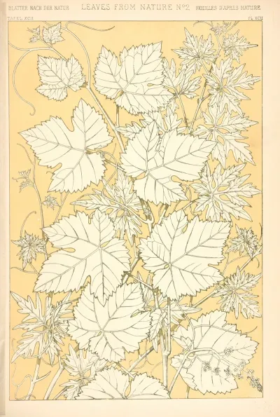 Leaves From Nature No 2 3
