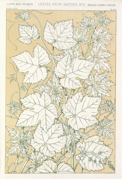 Leaves From Nature No 2