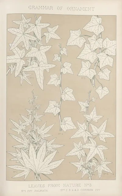 Leaves From Nature No 3 2