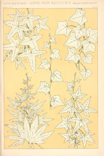 Leaves From Nature No 3 3