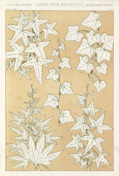 Leaves From Nature No 3