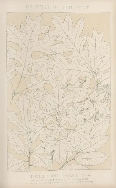 Leaves From Nature No 4 2