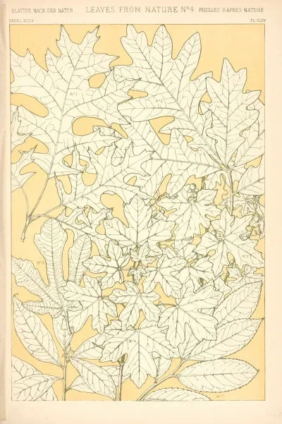 Leaves From Nature No 4 3