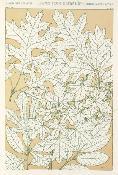 Leaves From Nature No 4