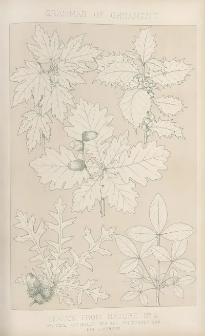 Leaves From Nature No 5 2