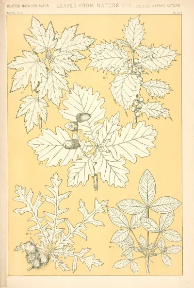 Leaves From Nature No 5 3