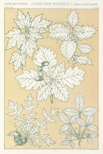 Leaves From Nature No 5