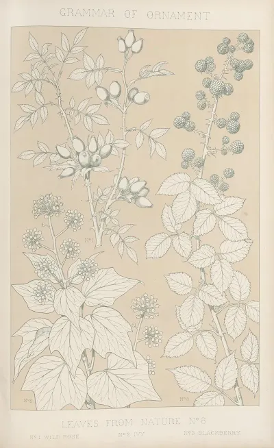 Leaves From Nature No 6 2