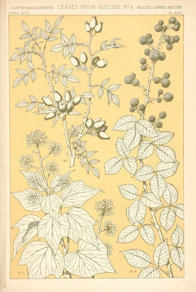 Leaves From Nature No 6 3
