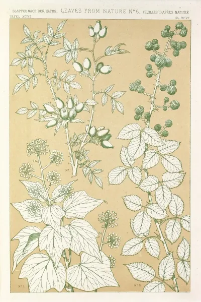 Leaves From Nature No 6