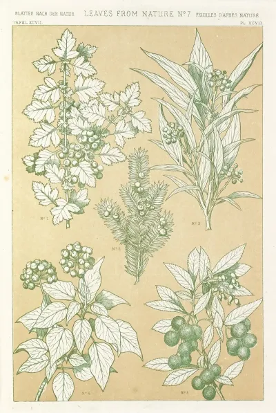 Leaves From Nature No 7