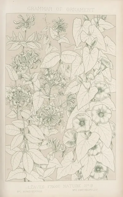 Leaves From Nature No 9 2
