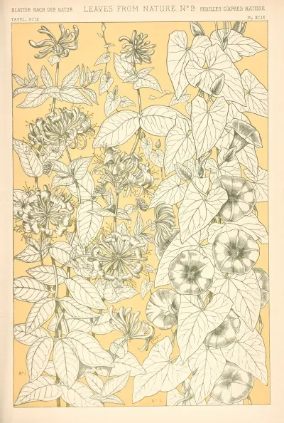 Leaves From Nature No 9 3