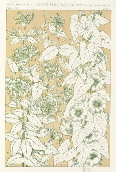 Leaves From Nature No 9