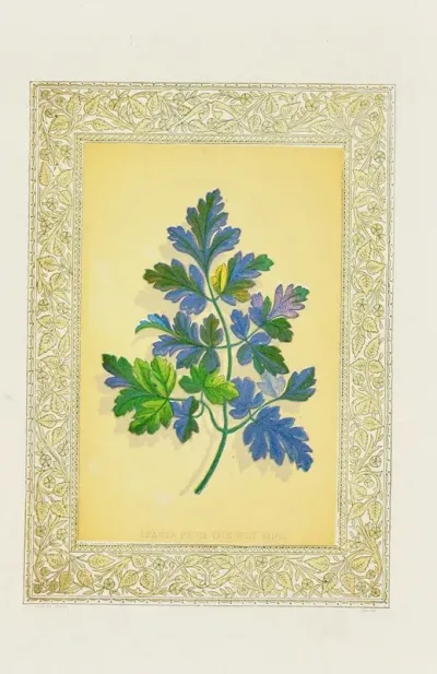 Leaves From The Way Side