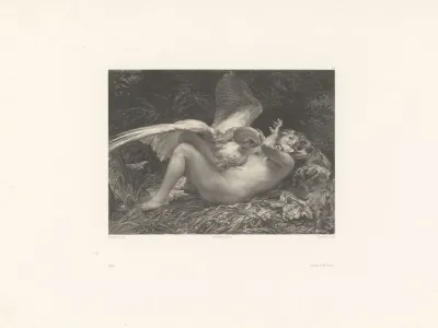 Leda 11