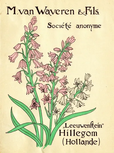 Leeuwenstein 2