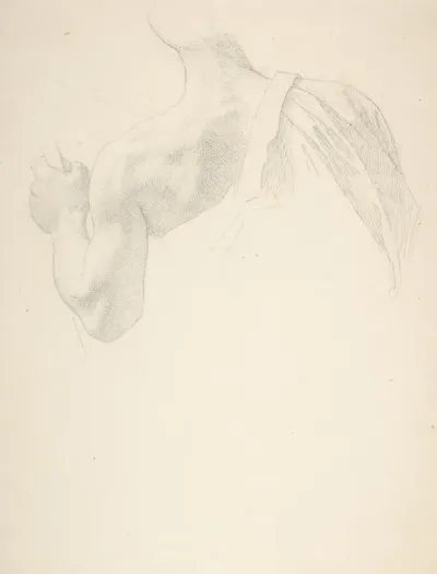 Left Arm And Shoulders Of A Man Seen From The Back
