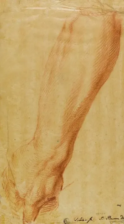 Left Arm Of A Hunter