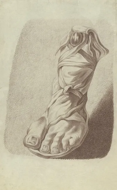 Left Foot Wearing A Sandal