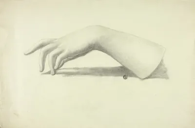 Left Forearm And Hand 2