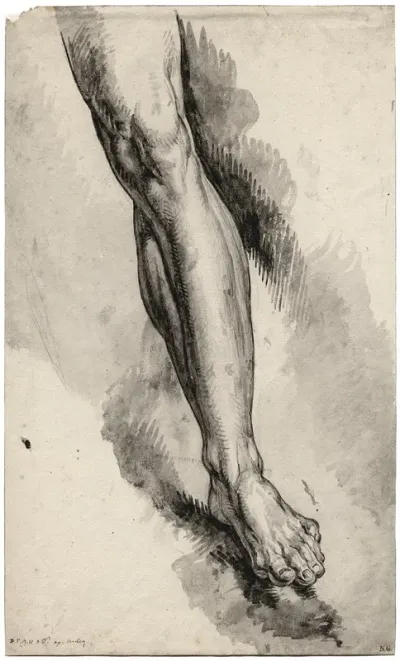 Left Leg After An Antique Statue