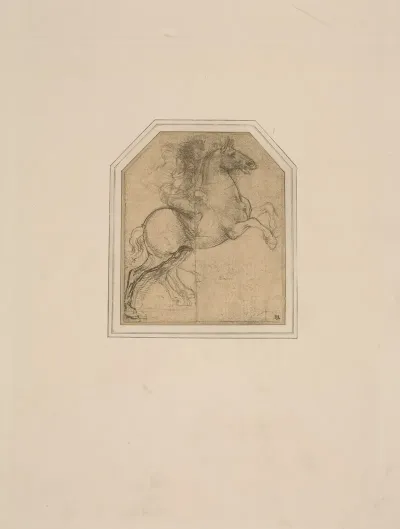 Leonardo Da Vinci Drawing Of A Man On Horseback
