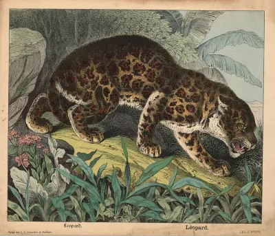 Leopard 2