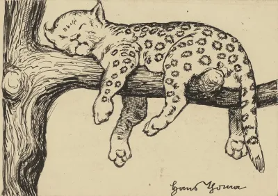 Leopard 3