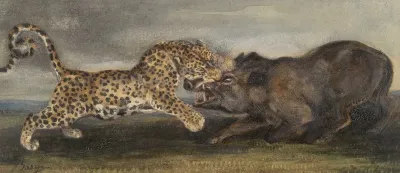 Leopard Aux Prises Avec Un Sanglier Leopard Struggling With A Wild Boar