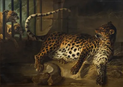Leopard In A Cage Confronted By Two Mastiffs