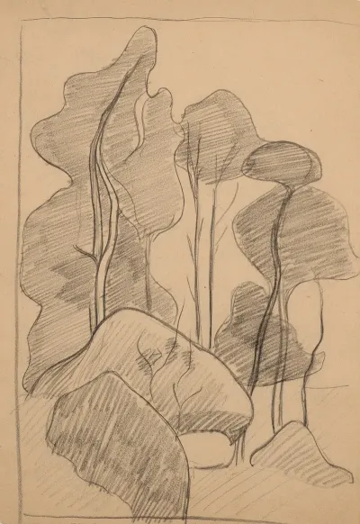 Les Arbres Et Les Rochers