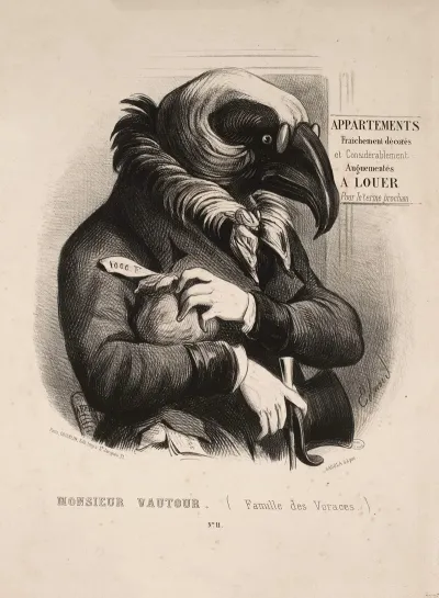 Les Betes Contemporaines Monsieur Vautour Famille Des Voraces