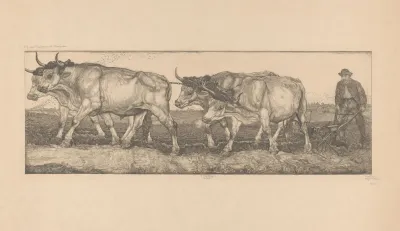 Les Boeufs