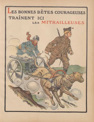 Les Bonnes Betes Courageuses Trainent Ici Les Mitrailleuses