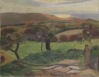 Les Champs Au Bord De La Mer