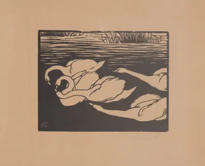 Les Cygnes 2