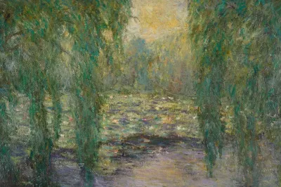 Les Nympheas