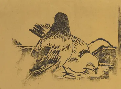 Les Pigeons