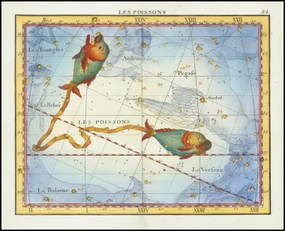Les Poissons Pisces