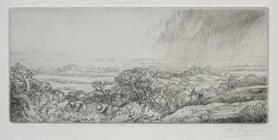Les Ramasseurs Des Champignons