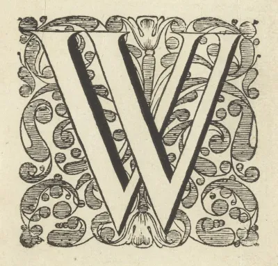 Letter W In Een Omlijsting Met Bloemen