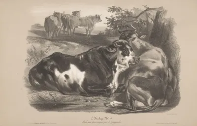 Lherbage