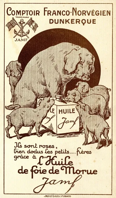 Lhuile De Foie De Morue Jamf