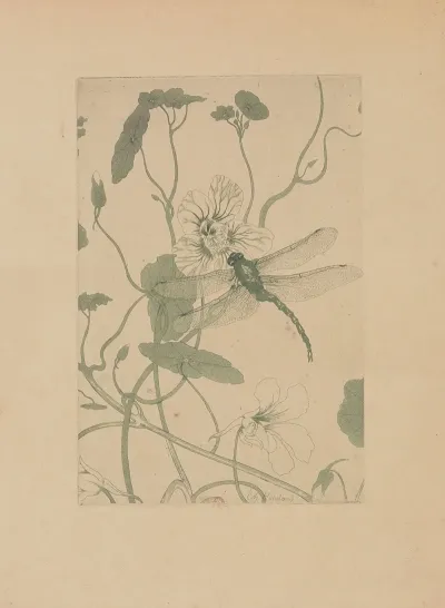 Libellule Et Capucine
