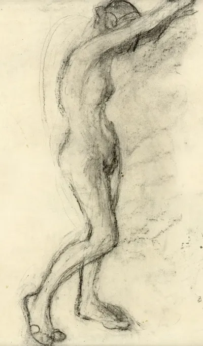 Lichaam 7